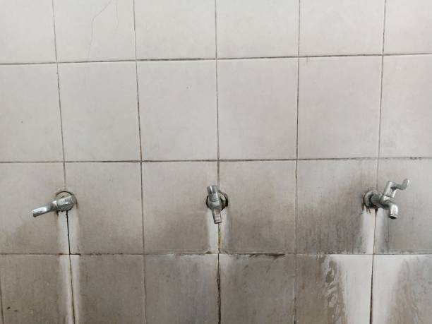  Lincoln Park, MI Water damage restoration Pros