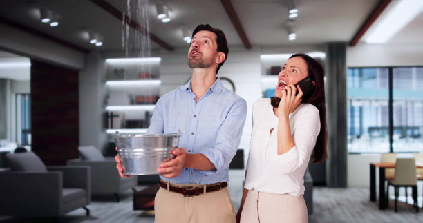 Best Flooded house restoration  in Lincoln Park, MI